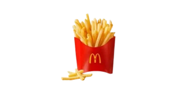 World Famous Fries
